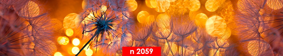 n 2059